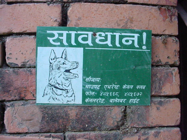 犬注意（カトマンズ市内）<br /><br />●絵は全てシェパード。