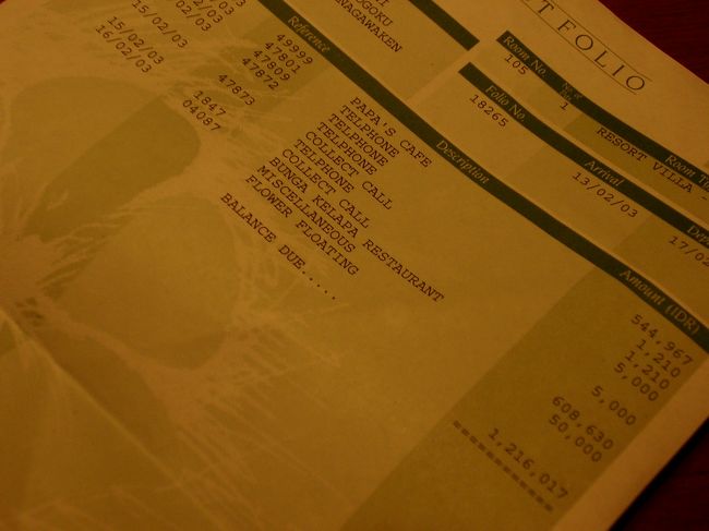 全然役に立たない情報ばっかで、もし読んでいる人がいたらすいません。本当に嬉しかったもので、ちゃんと書いておきたいなぁと。<br /><br /><br />続く。<br />思い返せば、バレかけることは何度かあったようだ。<br />私が請求書を見ながら、「FLOWER FLOATINGって何？」と聞いたことがあった。<br />固まるＯさん。しかし私は「あー玄関とかにあった花かぁ」とひとり納得し、Ｏさんは助かったと思ったらしい。<br />英語に詳しければFLOATING=が浮かせるとかそんな意味だから一発でばれるとこだった。悲しい。<br /><br />極め付けは、一度ホテルの人に呼び止められて<br />「リーダーは誰？お花のことでお話が」と言われたことがあった。<br />もちろん私が応対したのだが、なんのことだかさっぱり分からない。<br />「サプライズ〜サプライズ〜」とか言っている。後ろでは全員が身振り手振りで「この人当人だから！」と必死で伝えていたらしい。見たかった…<br /><br /><br />そんなピンチを乗り越え成功したプレゼントだったらしい。ありがとう。おもしろいよ。