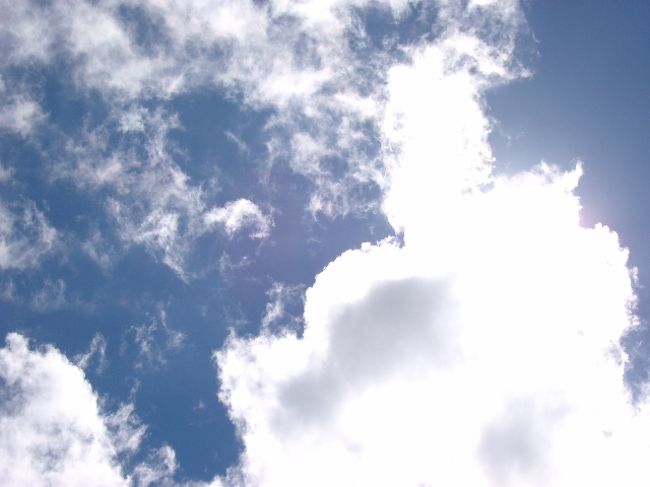 BALIメンバー　−Ｓ（英国行っちゃった）で臨んだ沖縄は、安さのみを追求した強行旅行となった。<br /><br />空港で冬ソナの着メロに首をかしげつつ、ゆいレールに乗り込む。多分使っているのは旅行者だけだろうなぁという感じ。<br />駅からホテルまでは歩いた。<br />しょうがない。車乗れない。（私はペーパー暦４年め）<br />これがまた暑い。直射日光は痛い。げっそりしつつ歩く。寄る年波には勝てないな、と全員が感じていたと思う。<br /><br />近くに川があってものすっごい放置って感じで整備も何もされていない（もしかしたら用水路かも）のに魚がわんさかいて沖縄の自然の力を妙なところで感じながらホテルに向かう。<br /><br />着く。<br /><br />凹む。<br />いくら安いとはいえ…学校の近くの学生食堂に似ているのがまた凹む。半端に豪華。<br />しかも部屋がまだ掃除中だった。<br /><br />はやく首里城に行きたいのーっ<br />ホテルの人の沖縄なまりに免じて許す！せっかくの旅行だ。