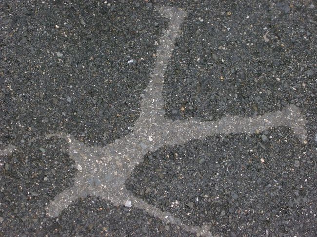 道に人型ができるよ！っていう…<br />ＵＳＪはこんなストリートパフォーマー？がたくさんいた。<br />ドグもいたのに…