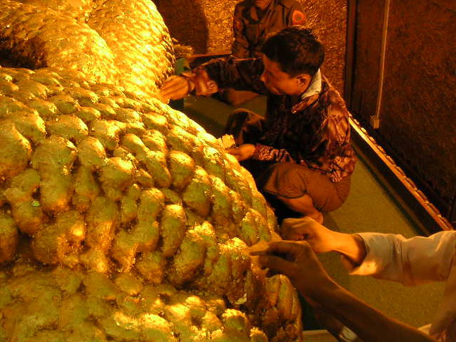 功徳つんでます、このマハムニパゴダ、短パンはだめですよ。