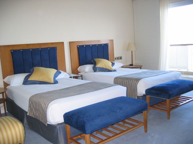 夕方にターンダウンしてくれます。タオルの交換とチョコレートをサービスしてくれます。明るく、綺麗なお部屋です。