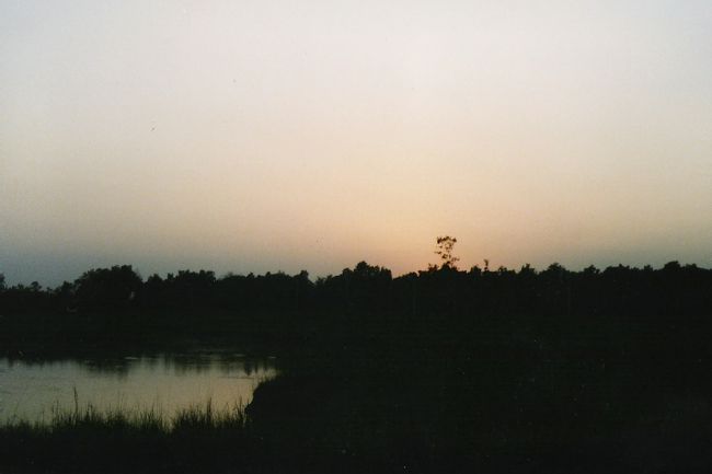 ルンビ二に行きました。仏陀の生まれたとされる村。<br /><br />各国のお寺が建っていて、その中の韓国寺に泊まりました。<br /><br />食事が韓国料理で、和食に近い料理とあって、感激！！<br /><br />韓国海苔が旨い・・。ルンビ二でなぜか韓国料理。<br />でも最高でした。<br /><br />あと、それから、菩提樹の方も見て、満足。