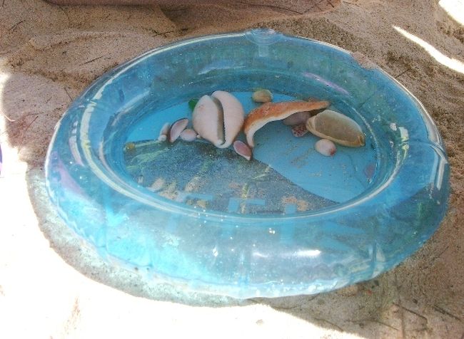 貝はＳへのお土産となりました（全員が気にいったやつを抜いたあと　許せ）<br /><br />