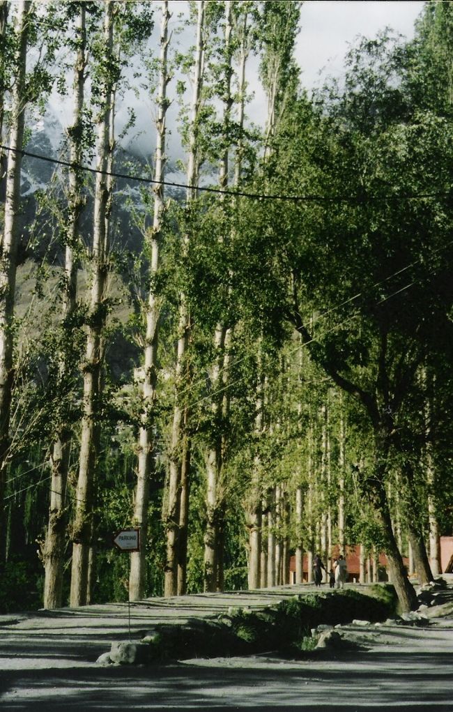 これもフンザです。