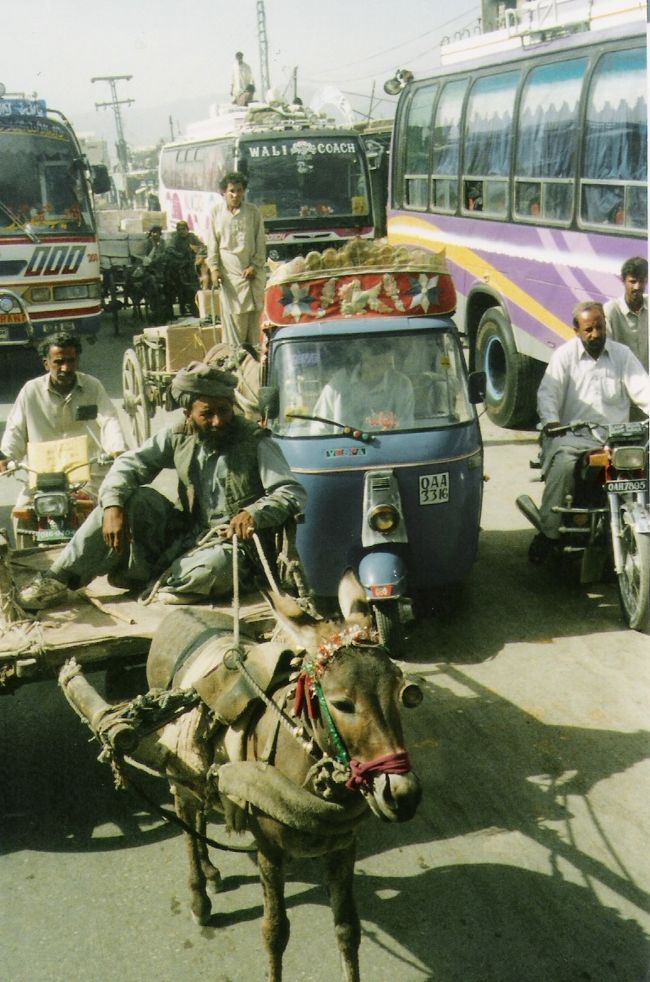 クエッタの町にはロバを使った荷車が多かったです。