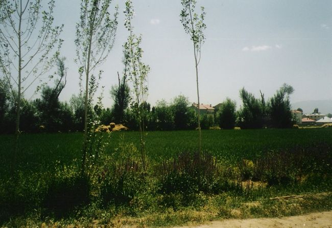 ユクセコワという東のほうの小さな町です。クルド人が住んでいて、とても親切でした。