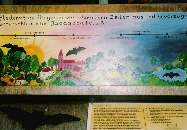 リューベックで見つけた謎の解説板。コウモリがいます。