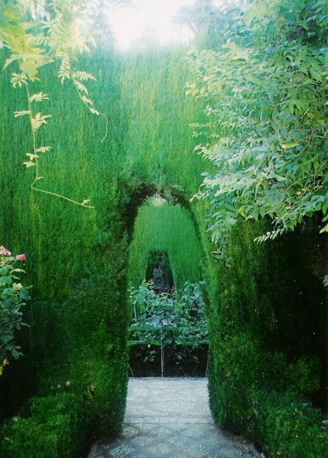 そして次はグラナダへ。アルハンブラ宮殿のお庭です。