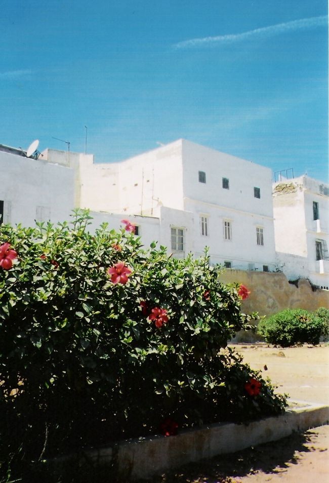 そしてカサ・ブランカへ。人口は３００万近くあるそうで、確かににぎわった感じでした。