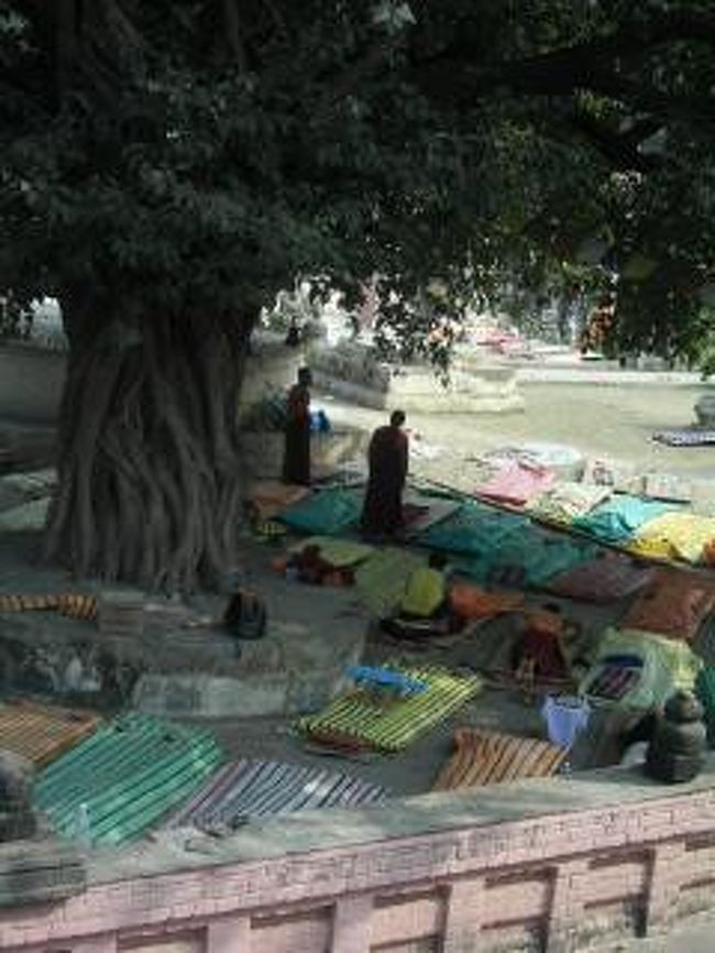 五体投地をする人々。