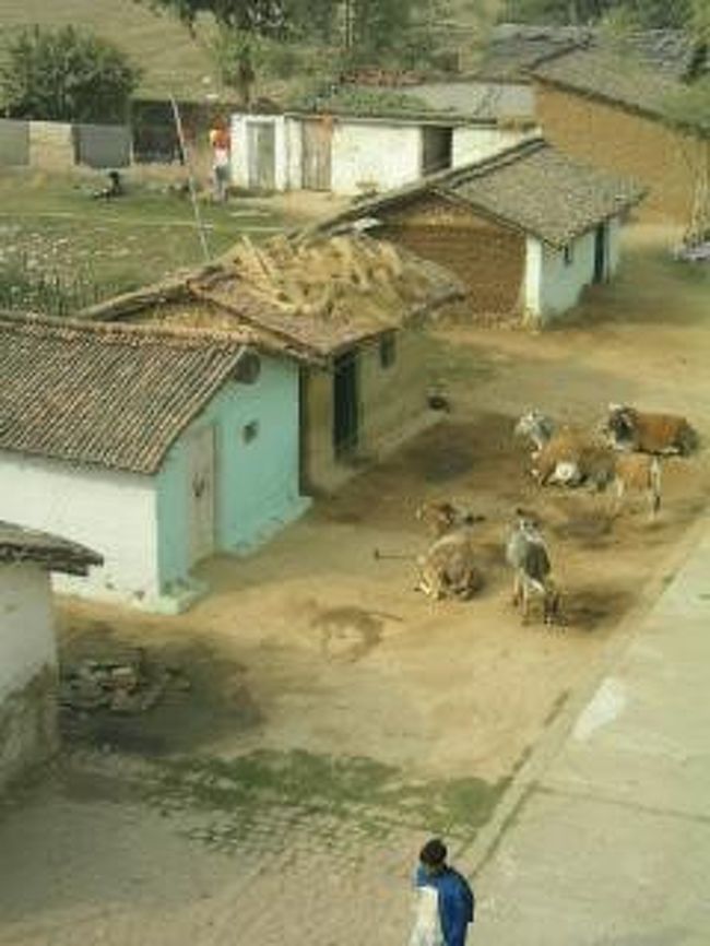 泊まっていたゲストハウスの前。