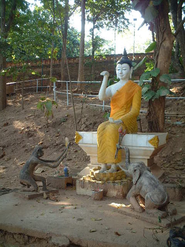 にゃおんのポーズ。<br />けっこうお茶目。