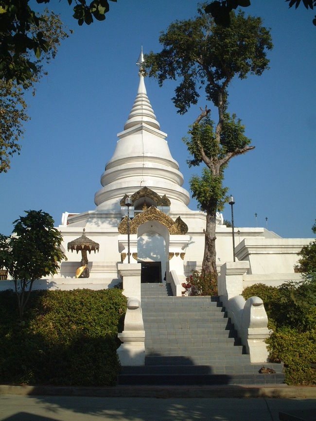 きりっとカッコイイスタイル。