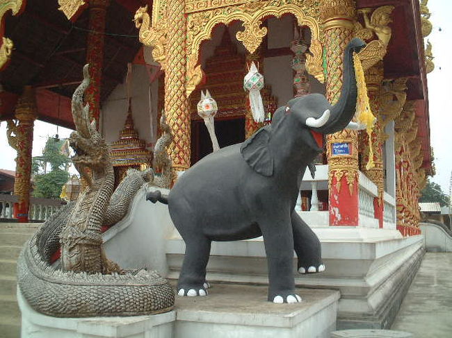 黄金三角から帰ってきました。<br />元気な象を発見