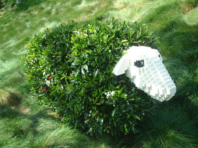 植木とのコラボレーションでできた羊。　うまいっ！