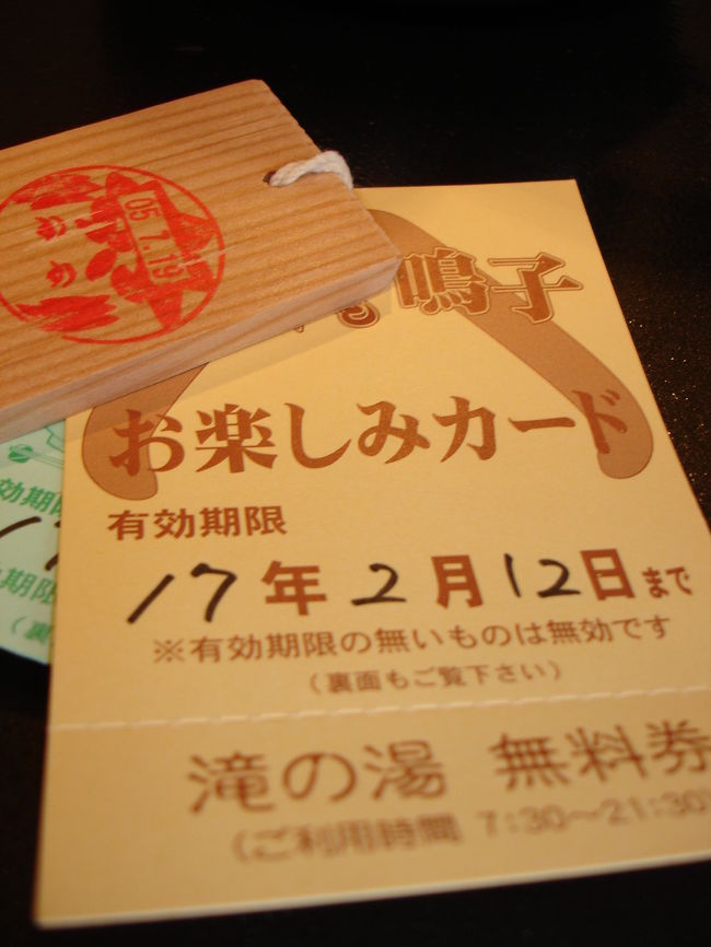 の正規 めぐみの湯 大人入泉券20枚 | www.butiuae.com