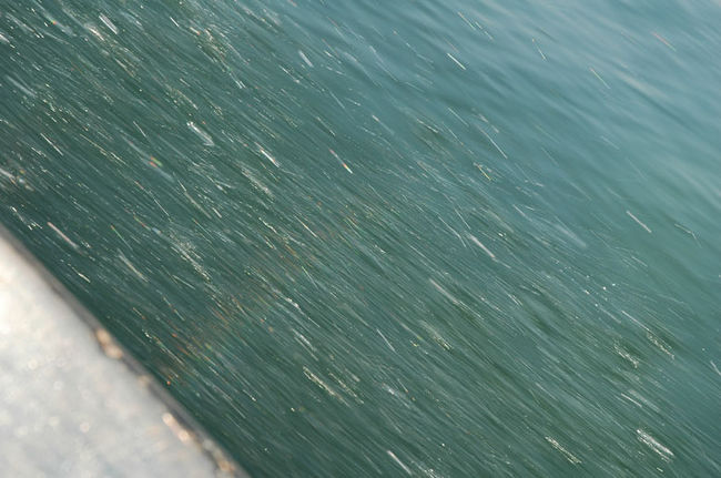 ずっと虹が見えていたから写真に撮ったのですが・・・映ってない！？