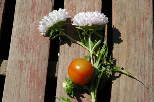 そんな押し売りされた花とトマト。