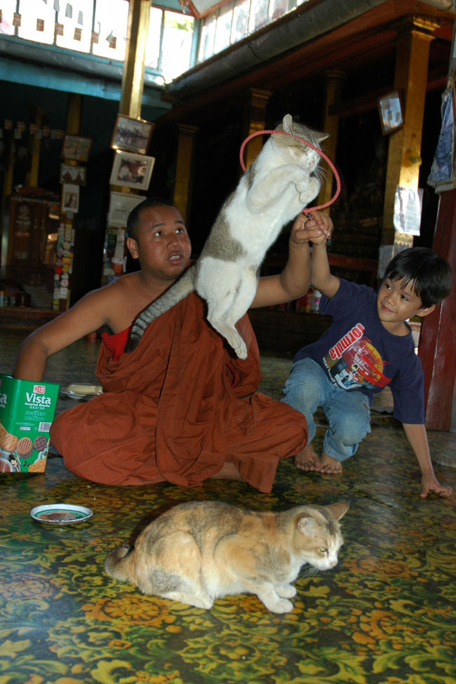 この一枚で大満足。<br /><br />ボートトリップこれにて終了。