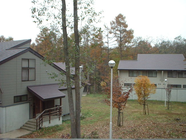 宿泊したロッジから。<br />こんな感じで他の棟が点在している。