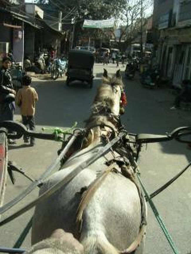 駅まで馬車で。<br />途中手綱を握らせてくれた。微妙な変化も感じ取って、馬って賢いのね。