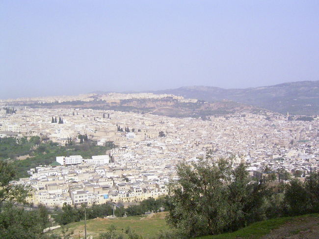 世界遺産都市フェズの旧市街を見下ろして。白と茶色の家々に埋もれた巨大迷路のよう。いったいどれくらいの人がここで生活しているのだろう？