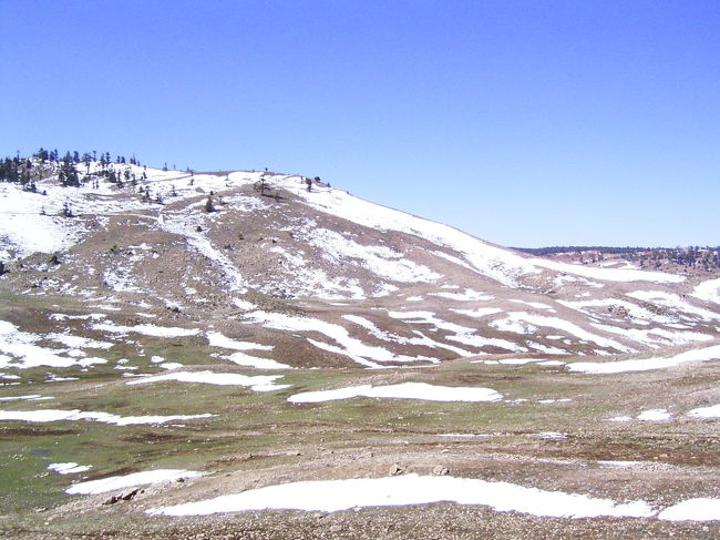 内陸へ向かって車を走らせ、標高の高い山地を通る。旅した３月はまだ残雪も。モロッコで雪を見るなんて思いもしなかったので何だか得した気分。