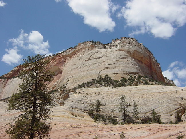 ザイオンの風景はこんな感じでぇ〜す。岩肌ばかり？