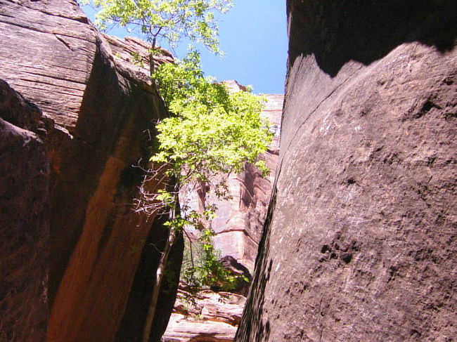 なんか、挟まれちゃいそぉ〜！！（＊＿＋）