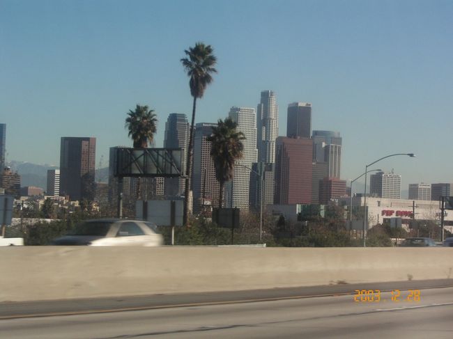 ハイウェイからロスの街を望む。