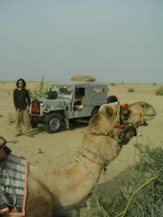 いよいよキャメルサファリ。<br />30分ほどジープで走って、いざラクダに乗り換える。