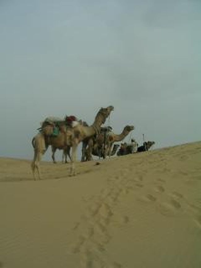 さらさらの砂丘に感動。<br />以前チュニジアに行った際、サハラ砂漠で一泊する予定が叶わず。今回実行できて本当にうれしかった。