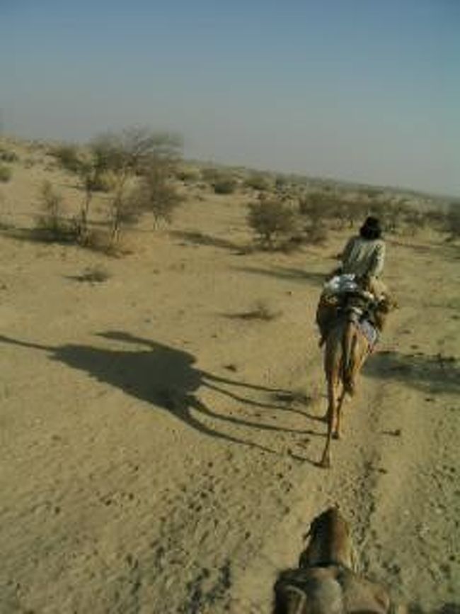 いわゆる私たちが想像するさらさらの砂漠・砂丘は一部で、ほとんどはこんな感じ。延々と広がるタール砂漠。