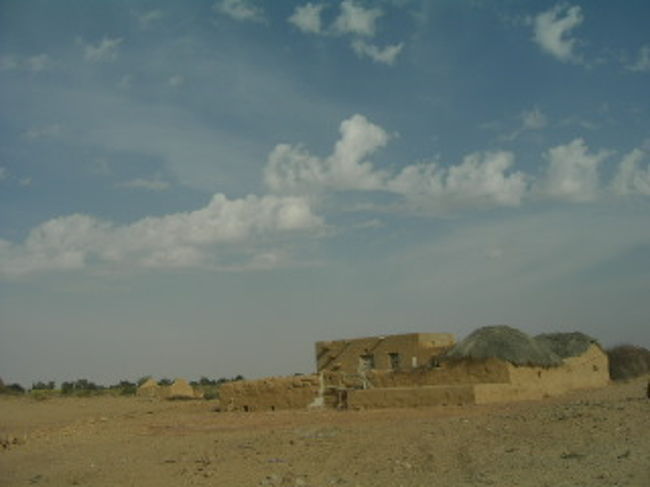 言葉足らずでキャメルサファリについてざっとしか伝えられなくてすみません。<br />でもとにかく良かったので、皆さん機会があれば是非！