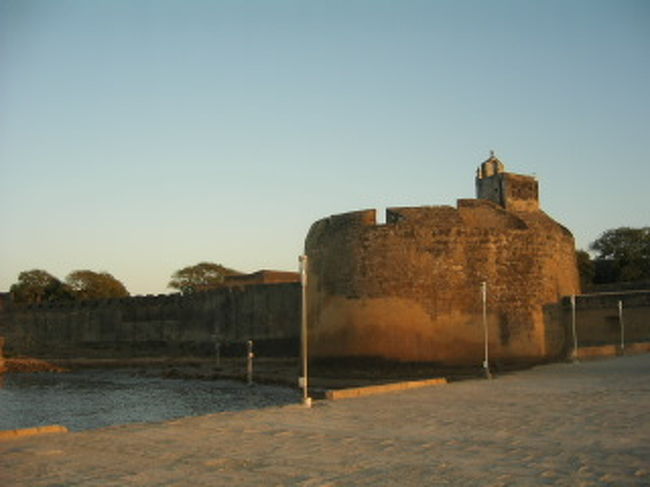 朝の散歩。夕日を見に、そして夜は星を見にフォートへ通う。