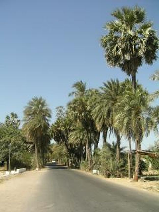 モペットを借りて町を走る。<br />他のインドの町とは違う南の島風の空気がゆったりと流れている。<br />