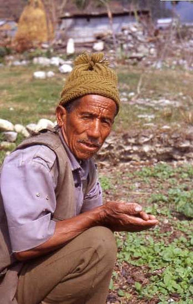 私たちのことは全く気にせずに、マイペースで草取りを続けていたおじいちゃん。<br />（ポカラの市バスに乗って、山を越えたあたりで会いました。）