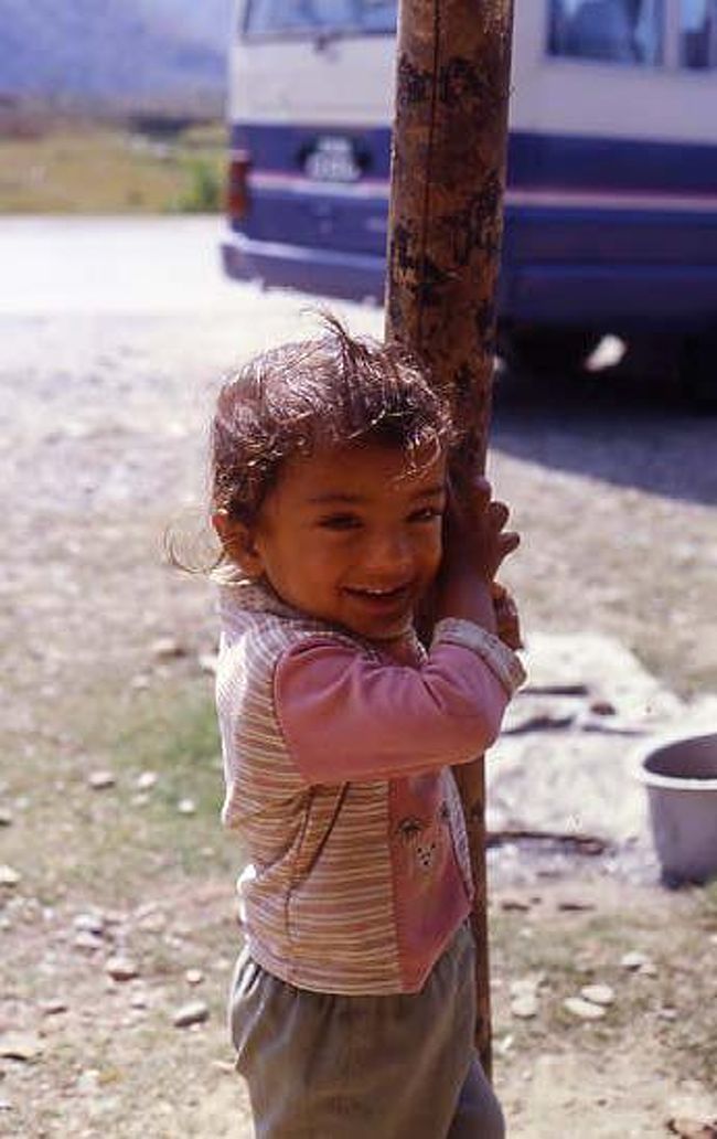 写真を撮ろうとすると、逃げ回る…。