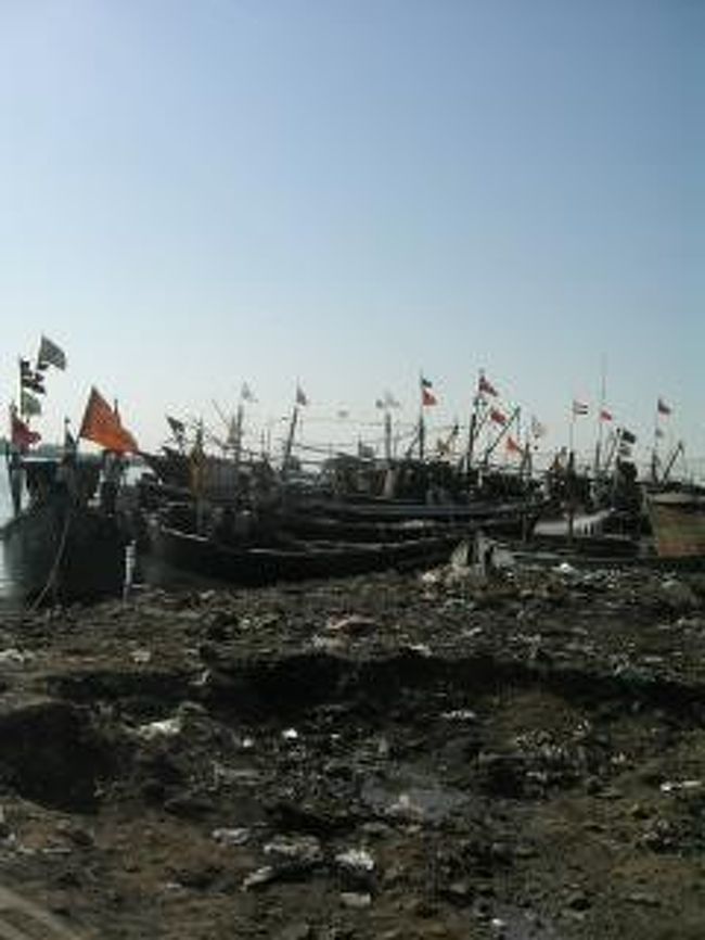 島の西にある漁村へ。魚臭いのが嬉しい。