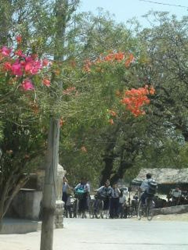 下校中の子供たち。