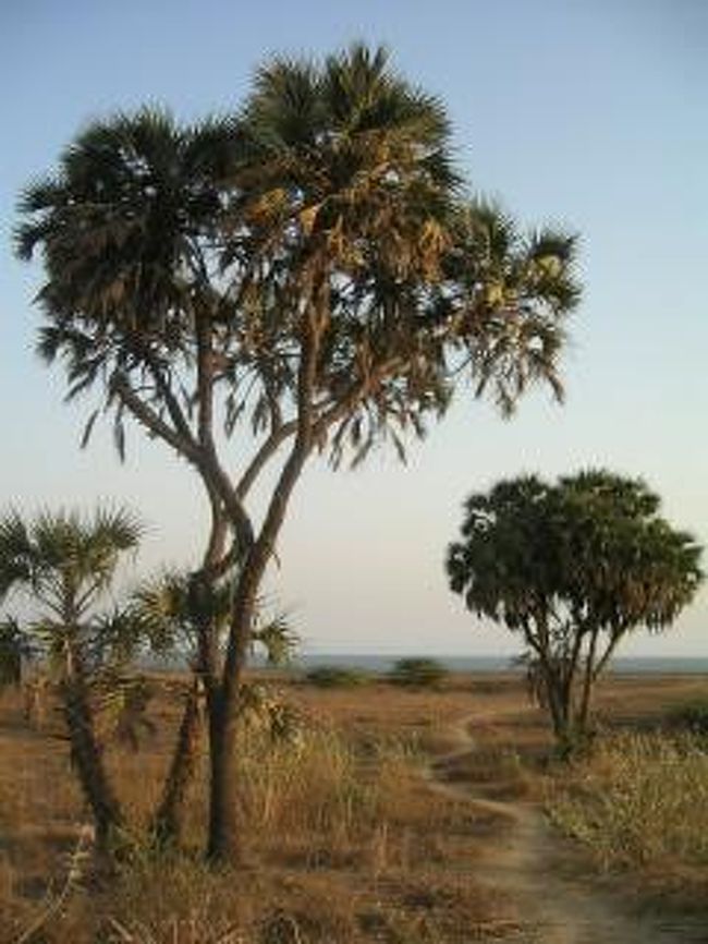 11日間のんびりと滞在してDiuとお別れ。<br />とってもいい町。おすすめです。