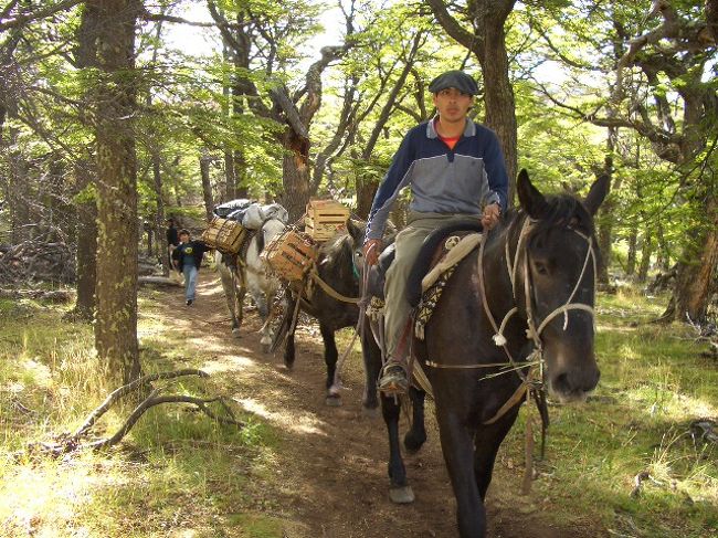 馬<br />乗馬でトレッキングをしている人や、馬に荷物を運ばしている光景が見られる。<br />でも、そのおかげで一部山道は糞だらけ。
