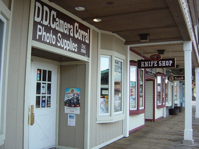 朝一人でお散歩した時にPART1