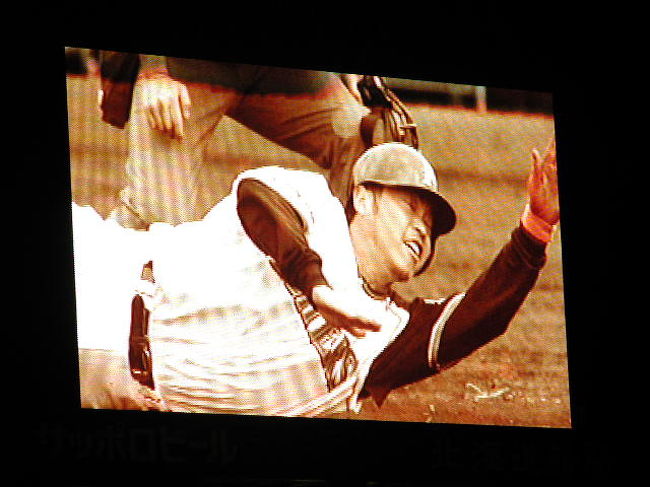 選手紹介は「オーロラビジョン」で！かっこうよく！小谷野選手です。