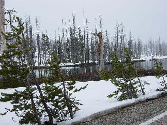 雪がまだまだたくさん残ってて寒かったよぉ〜！！川とかも凍ってたりしてて・・・コノ日天気もイマイチだったからたまに小雪がちらついてたピヨ