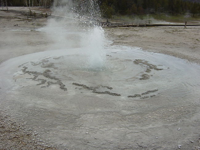 あんまり色がキレイじゃないけど・・・・。