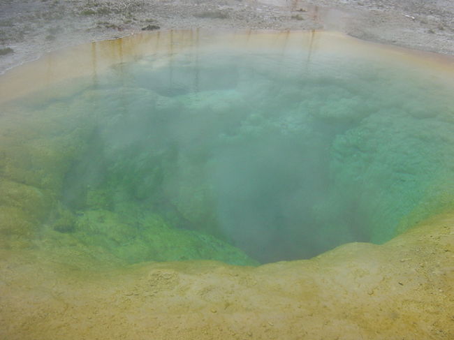 これがMorning Glory Pool でぇ〜す。色がキレイでしょっ！？