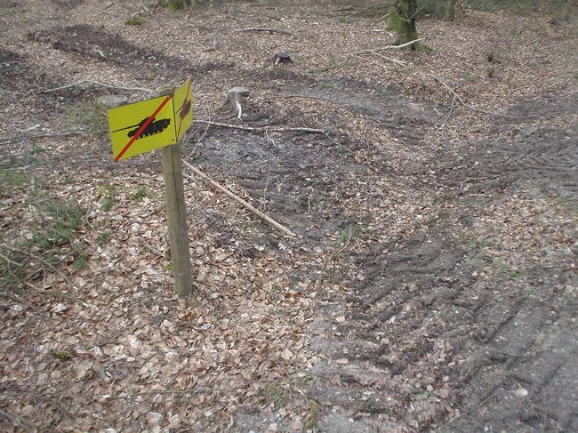 轍は戦車によるものではないと思いますが…（戦車はもっと重いから）