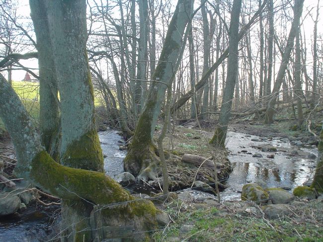 ありがちな小川１